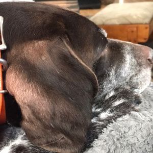 Meet your Posher, Mark